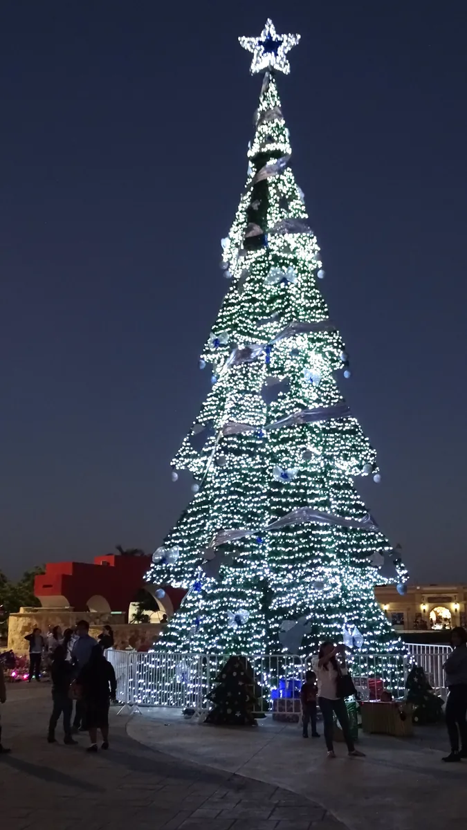 Árbol de Navidad iluminado en la plaza principal de San José del Cabo al anochecer