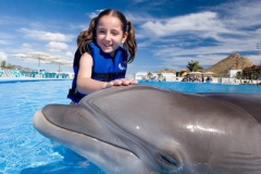 swim_with_dolphins_001