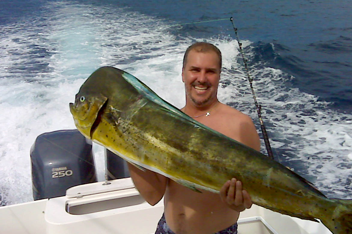 Mahi Mahi