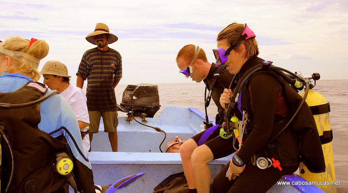 Scuba In Cabo Pulmo