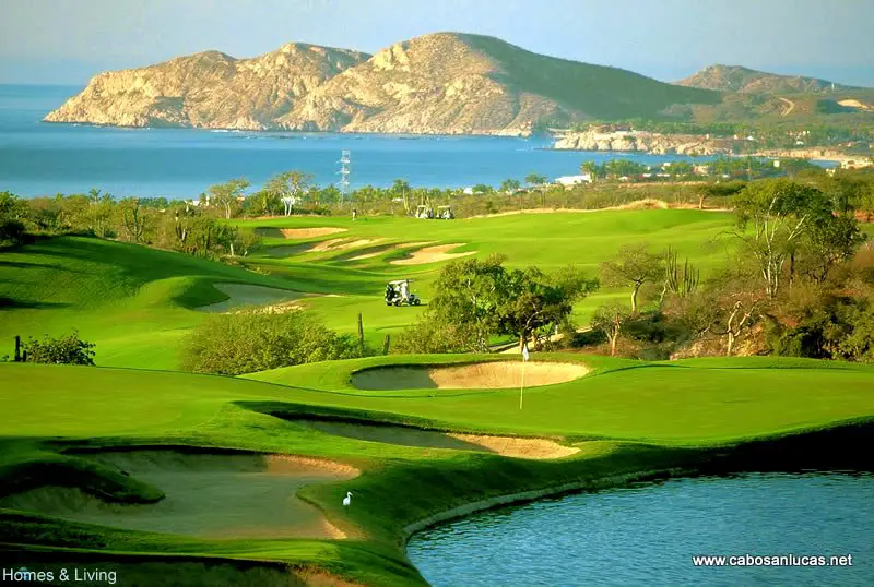 Cabo San Lucas Country Club View