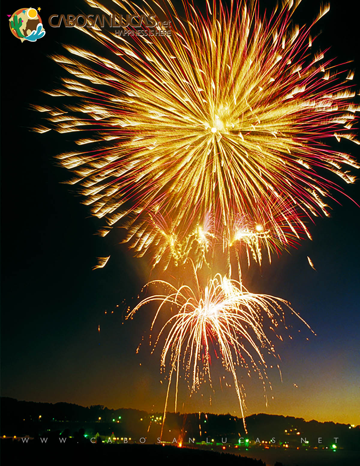 Fuegos artificiales del Carnival