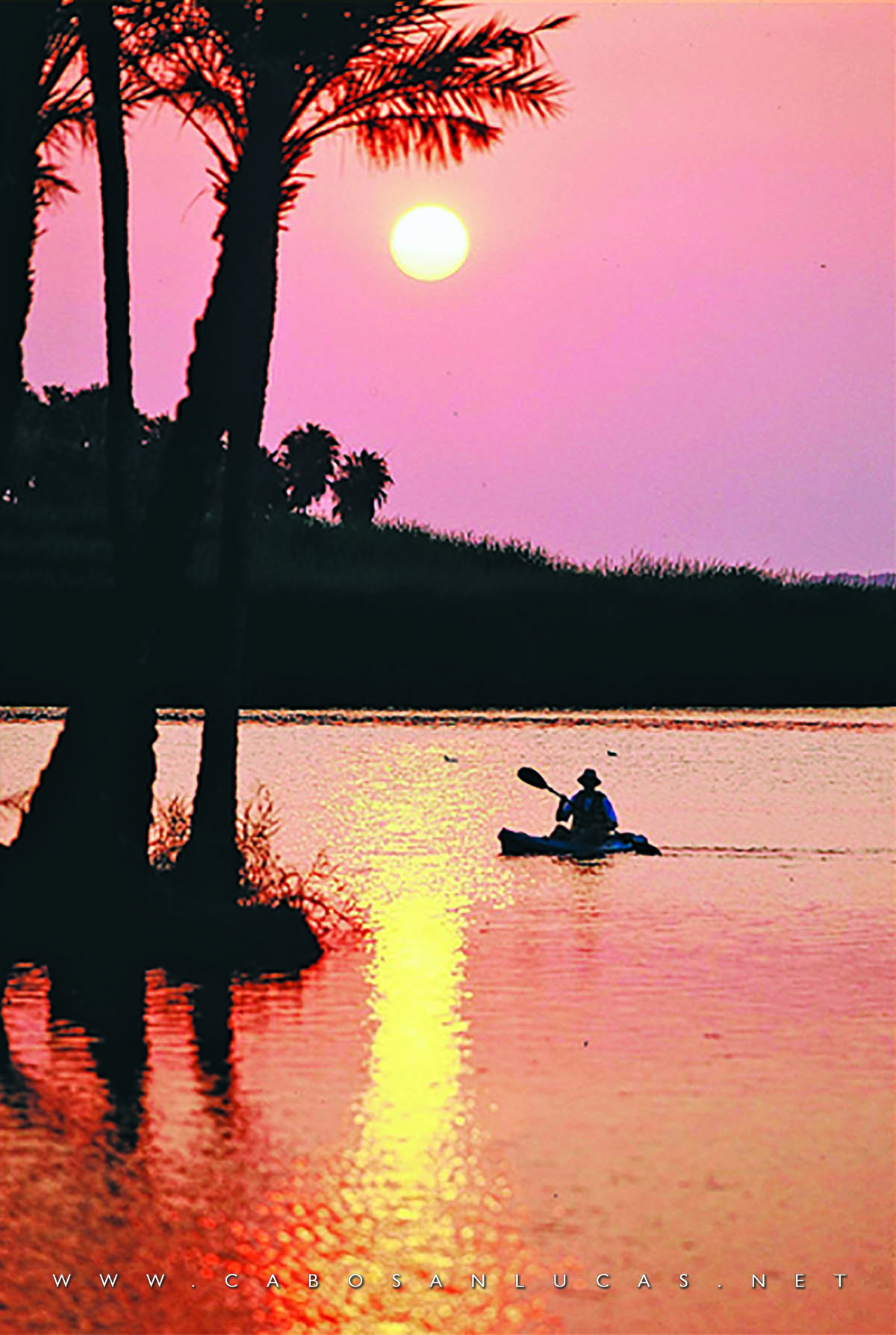 Estero San Jose en Kayak