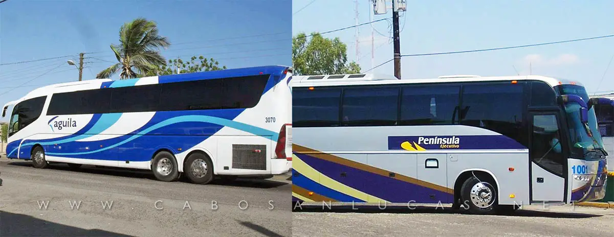 Buses in Baja California Sur