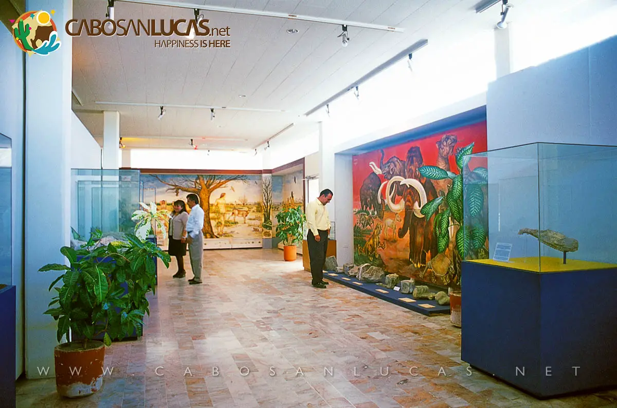 Museo Antropológico de La Paz