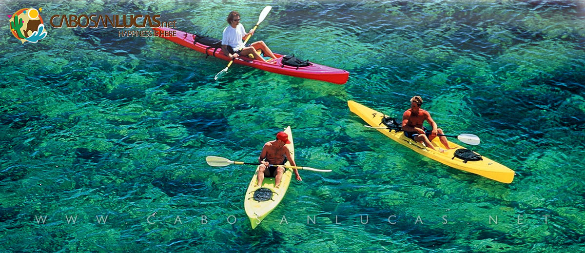 THE 10 BEST La Paz Kayaking & Canoeing Activities (Updated 2023)