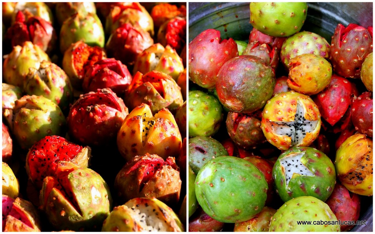 Pitahayas