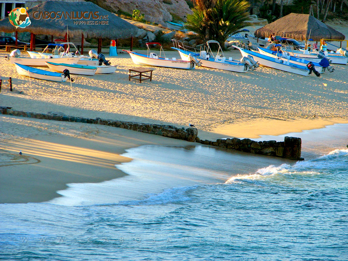 Playa Pedregal, Pacific Beach - Cabo San Lucas Beaches