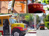 Public transport buses in Los Cabos