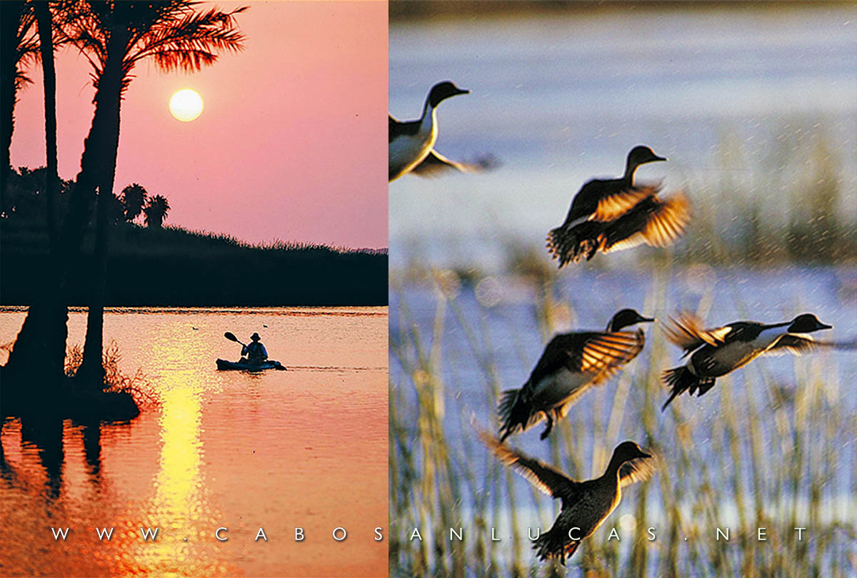 San Jose Estuary