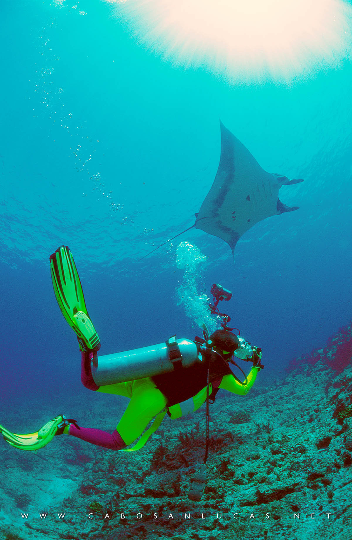 Scuba and snorkeling