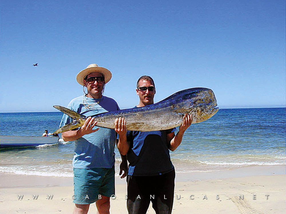 Una excelente pesca (Dorado)