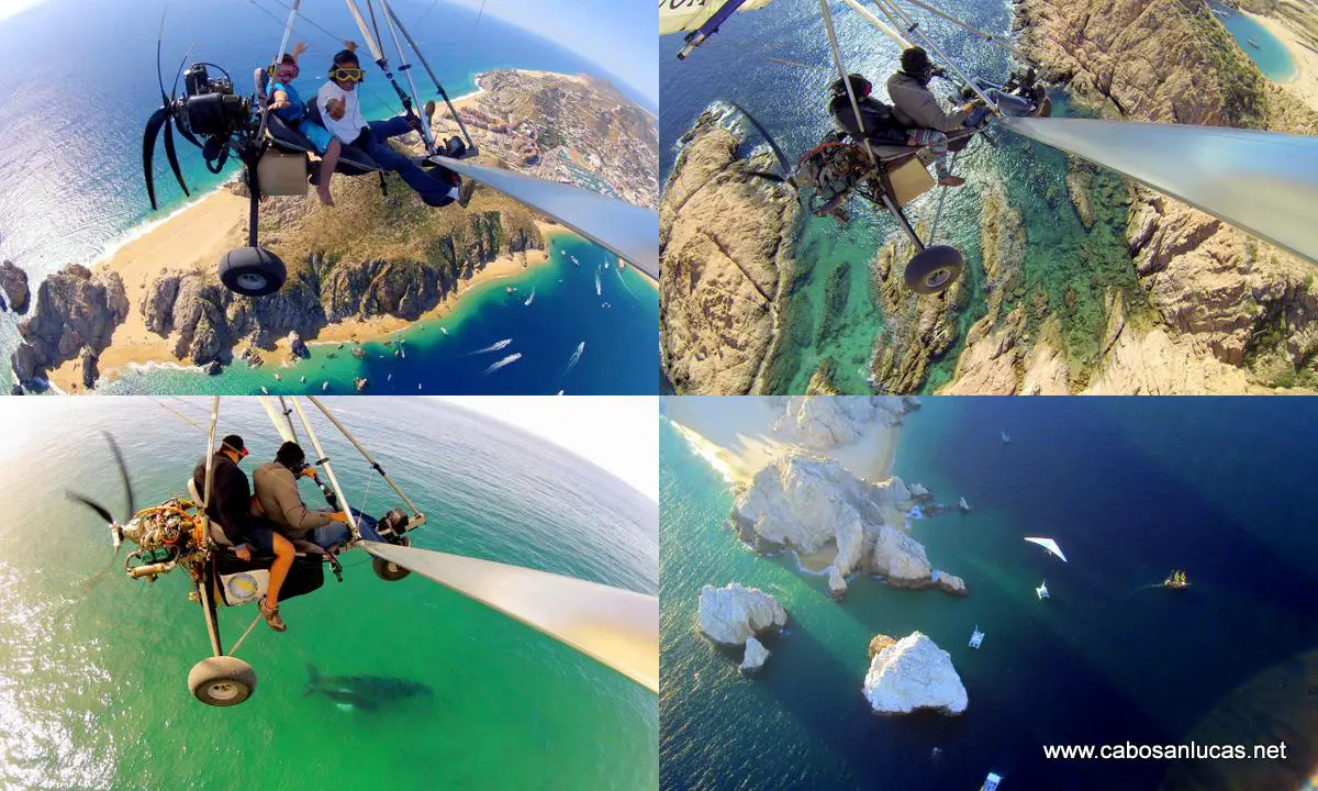 Cabo Sky Tours