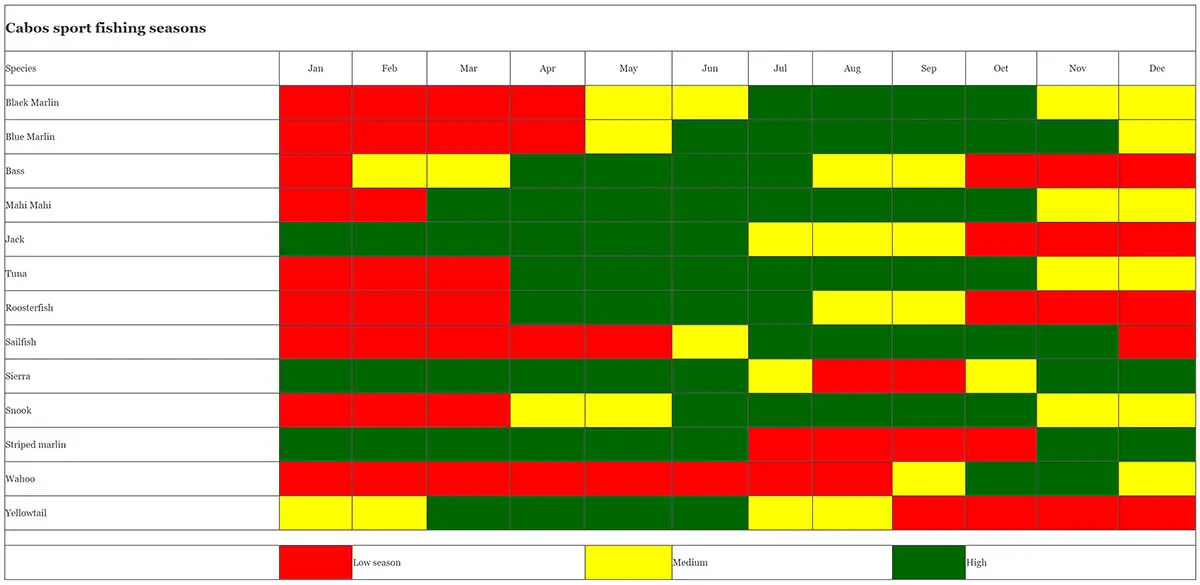 Los Cabos Sportfishing Seasons and Fish Species