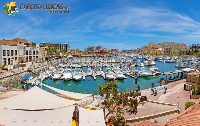 Marina Cabo San Lucas from/desde Plaza Puerto Paraíso