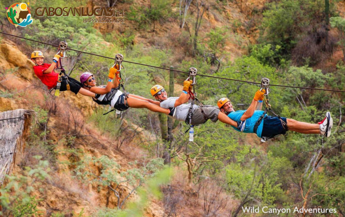 Wild Canyon Zipline Tour Los Cabos